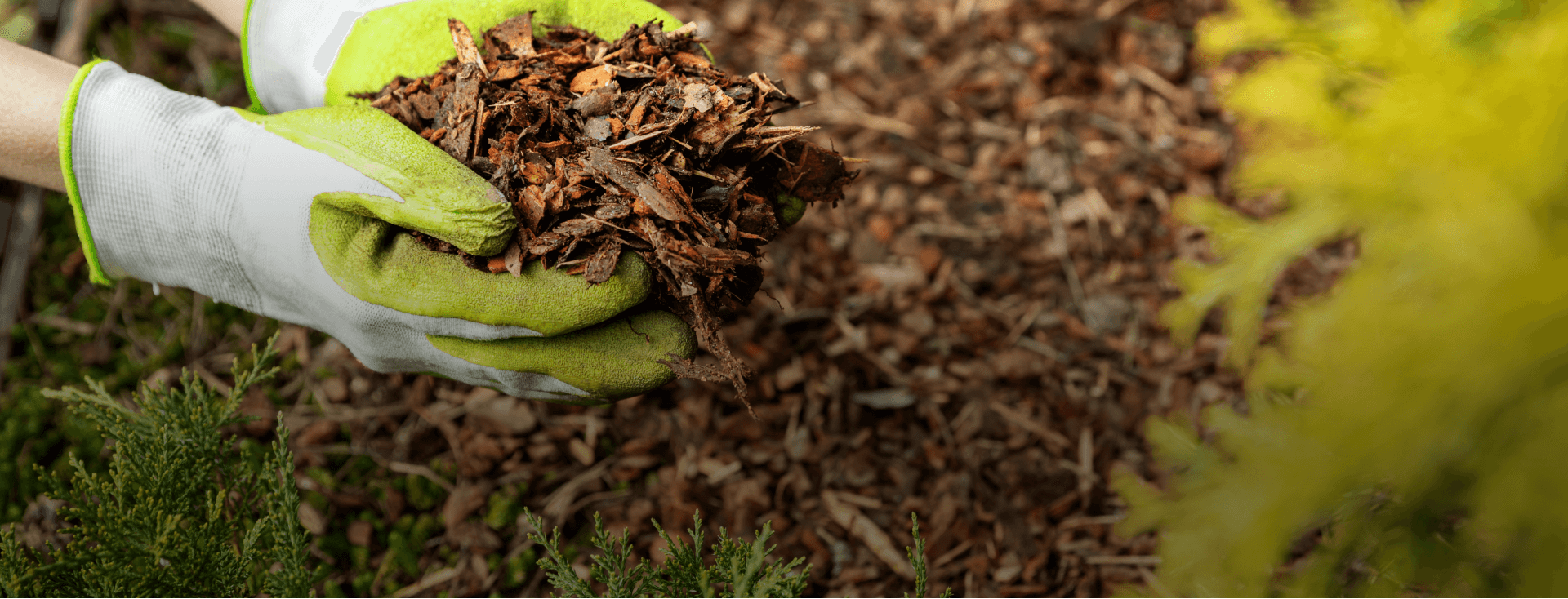 Garden Mulch – High quality recycled shredded wood mulch